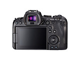 Canon EOS R6 & RF 24-105mm f/4-7.1 L IS STM / Black