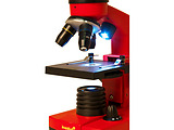 Levenhuk Rainbow 2L Orange Microscop / 69064 / Orange