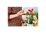 Xiaomi SmartFlower and Plant Monitor White