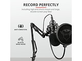 Trust Gaming GXT 252+ Emita Plus Streaming Microphone / Black