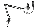 Trust Gaming GXT 252+ Emita Plus Streaming Microphone / Black