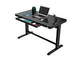FlexiSpot Adjustable Desk ET118 / Black