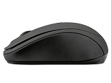 Trust Ziva Wireless Compact Mouse / Black