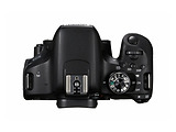CANON EOS 800D Body / 1895C017 / Black