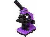 Levenhuk Rainbow 2L PLUS Amethyst / 69067 Purple