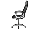 Trust GXT 705 Ryon Black
