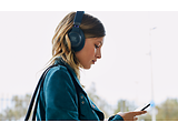 JBL LIVE650BTNC Blue