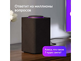 Yandex Station YNDX-0001 Black