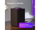 Yandex Station YNDX-0001 Black