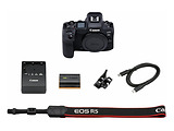 Canon EOS R5 BODY V2.4
