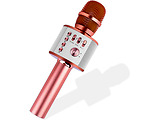 Helmet H12 / Wireless Karaoke Microphone