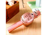 Helmet H12 / Wireless Karaoke Microphone