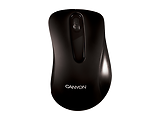 Canyon Barbone