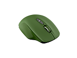 Canyon MW-21 / Wireless Mouse Green