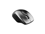 Canyon MW-21 / Wireless Mouse Grey