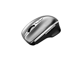 Canyon MW-21 / Wireless Mouse Grey