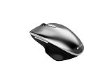 Canyon MW-21 / Wireless Mouse Grey