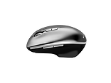 Canyon MW-21 / Wireless Mouse Grey