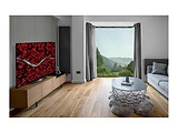 LG OLED55BXRLB / 55" OLED 4K UHD 3840x2160 120 Hz Smart TV webOS 5.0