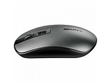 Canyon MW-18 / Silent / CNS-CMSW18DG