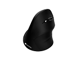 Canyon MW-16 / Vertical / CNS-CMSW16B