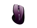 Canyon MW-01 Magenta