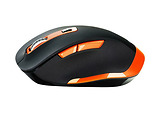 Canyon MW-14 / Orange