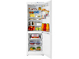 ATLANT XM-6021-502