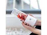 Xiaomi Pinlo Juice Cup