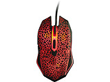Qumo Solaris / 21509 /