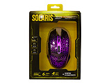 Qumo Solaris / 21509 /