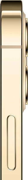 Apple iPhone 12 Pro / 6.1" OLED 2532x1170 / A14 Bionic / 6GB / 128GB / 2815mAh / DUALSIM / Gold
