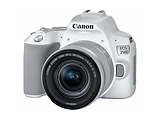 Canon EOS 250D + EF-S 18-55mm 3.5-5.6 IS STM / WHITE