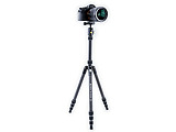 Vanguard VESTA TB 204CB Carbon