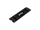 Kingston Fury Renegade / M.2 NVMe 1.0TB / SFYRS/1000G