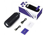 Tronsmart T6