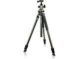 Vanguard ALTA PRO 2+ 263CB 100