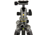 Vanguard ALTA PRO 2+ 263CB 100