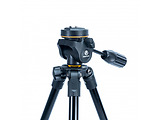 Vanguard VESTA 204AP