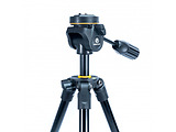 Vanguard VESTA 203AP