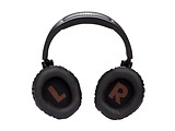 JBL Quantum 350