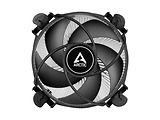 Arctic Alpine 17 / ACALP00040A