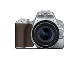 Canon EOS 250D + EF-S 18-55mm 3.5-5.6 IS STM / SILVER