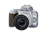 Canon EOS 250D + EF-S 18-55mm 3.5-5.6 IS STM / SILVER
