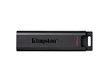 Kingston DataTraveler Max DTMAX/256GB
