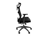 Genesis Ergonomic Astat 200 / NFG-1943