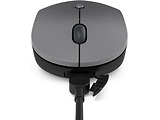 Lenovo Go USB-C Essential Wireless Mouse