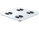 Huawei Scale 3 Herm-B19
