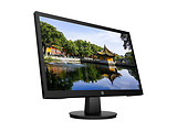 HP V22v / 21.5 VA FullHD / 450M5AA