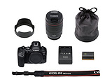Canon EOS R6 Mark II + RF 24-105mm f/4-7.1 IS STM